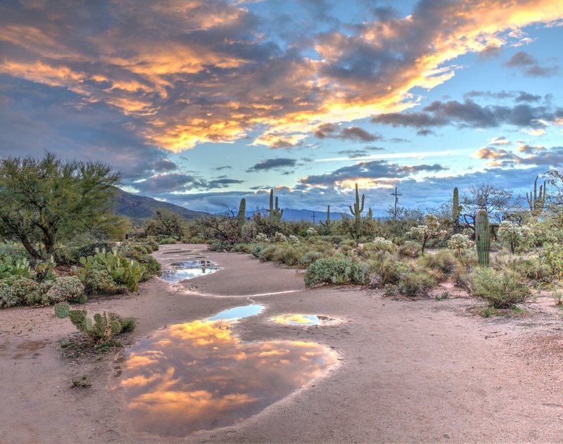 Prepping Your Home for Arizona's Summer Heat: Insurance Tips