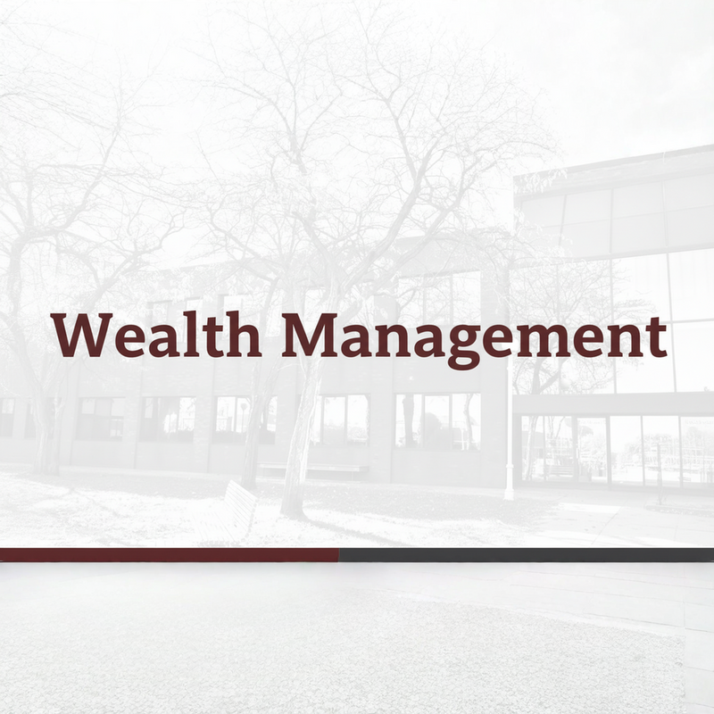 wealth-management-explained