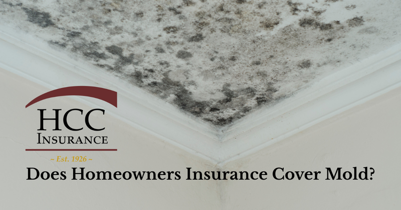 Does Homeowners Insurance Cover Mold in Massachusetts? | HCC Insurance