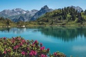 The Retirement Reality Check