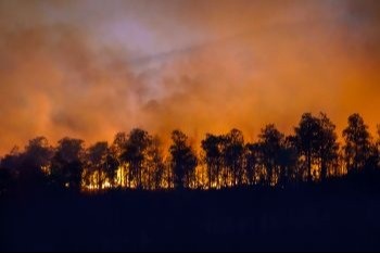The Truth About Fire Insurance in California: What You Need to Know