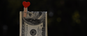 Fall in Love With a Financially Confident You