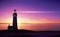 Weekly Market Insights: Stocks Spark Late Week Rally