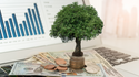 Building a Solid Retirement Portfolio: Essential Investments