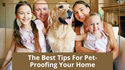 The Best Tips For Pet-Proofing Your Home