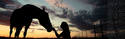 Make A Pet Silhouette