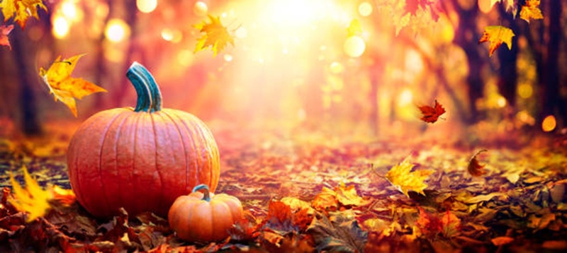 AI, Octopi and Pumpkin Pie
