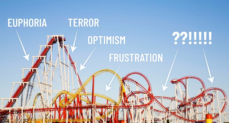 What happens next? (market rollercoaster)