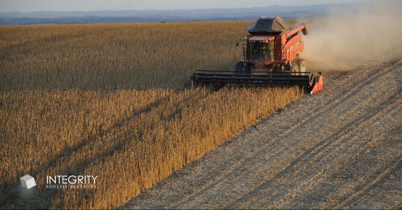 Harvesting Financial Lessons