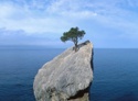 Resilience
