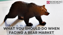 What You Should Do When Facing a Bear Market