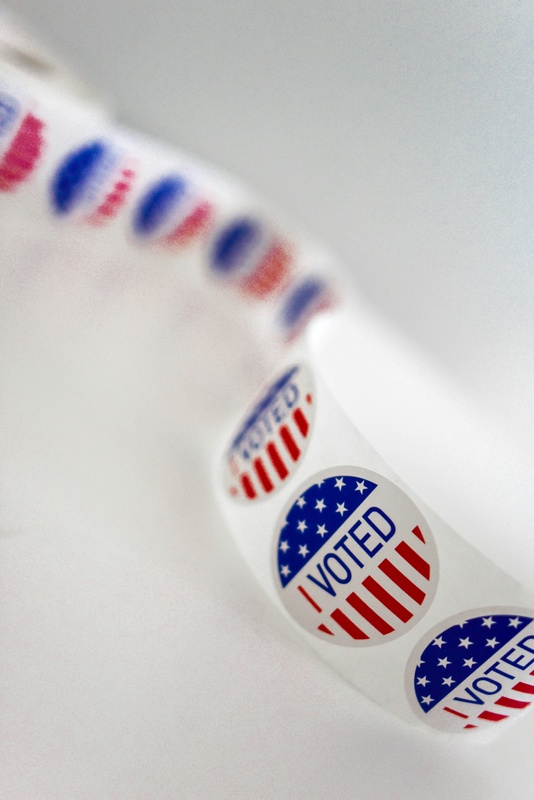 Election 2024 and The Bottom Line