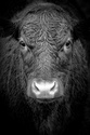 Don't Panic - A Bull Case for Equities