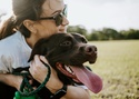 Dog Bite Liability - Info and Tips for Residents of Conway, Arkansas