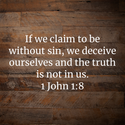 1 John 1:8