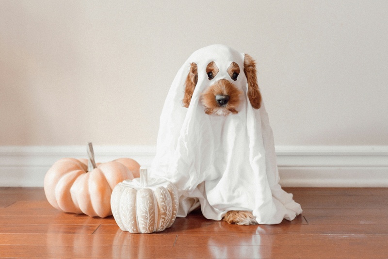 What Scares You About Financial Planning?