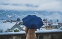 Umbrella Liability Insurance