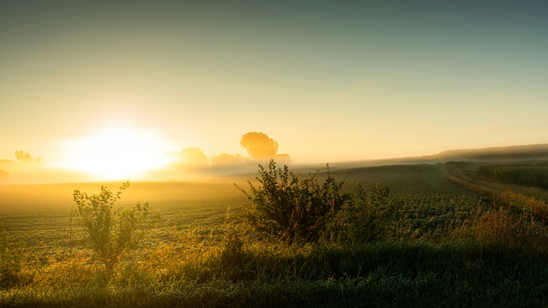Why Account Value Isn’t the Whole Story: Understanding the Tax Character of Your Investments