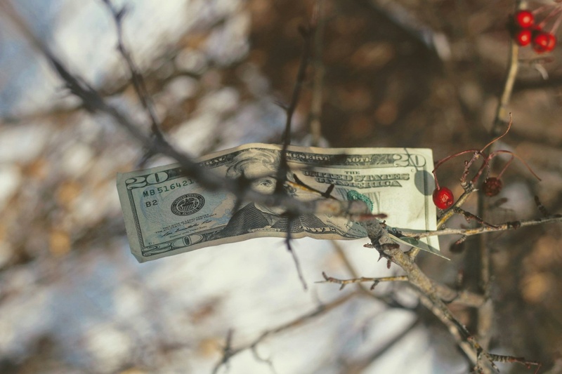 Lost and Found for Financial Assets: Could You Have Forgotten Money Waiting for You?
