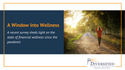 A Window Into Wellness