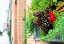Where’s the holiday cheer on Wall Street?