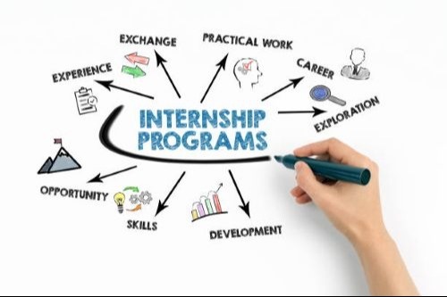 Summer Interns