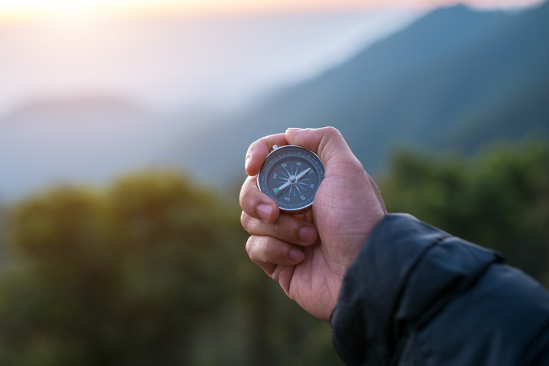 Guiding Advisors | Insights from Our COO