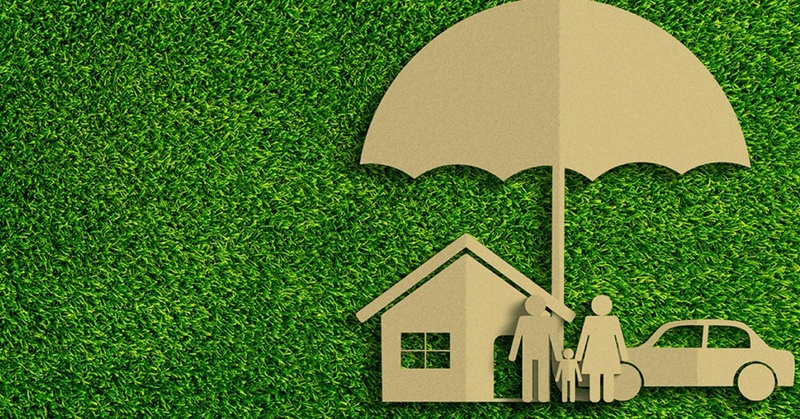 Life Insurance as an Asset