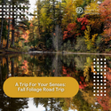 A Trip For Your Senses: Fall Foliage Road Trip