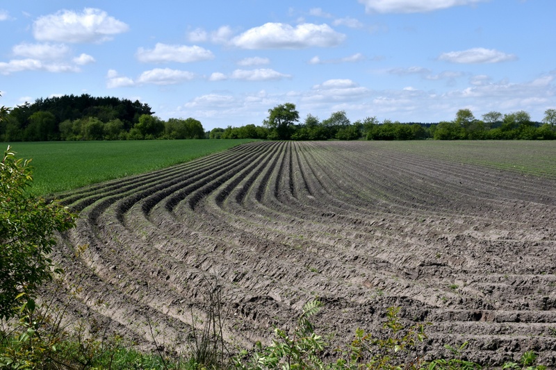 Preparing Your Farm Insurance Policy for Spring Planting Season