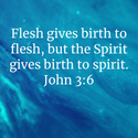 John 3:6
