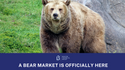 A Bear Market is Officially Here