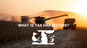 What is Tax Harvesting?