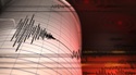 Vanguard Study Shows Seismic Shift in Retirement Investing