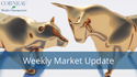 Key Earing Season Takeaways