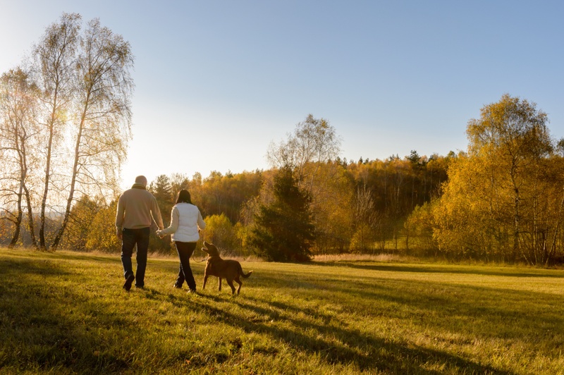 Have You Planned for Every Season of Retirement?