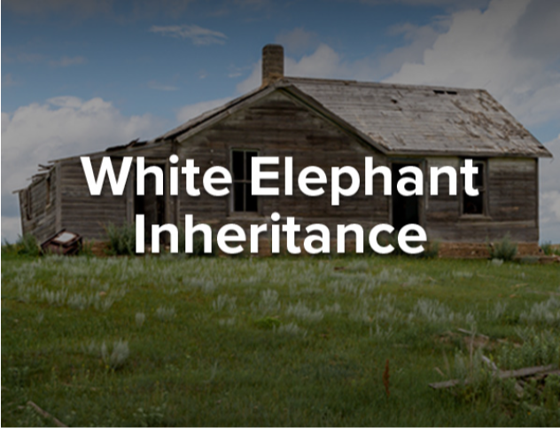 White Elephant Inheritence