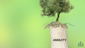 Retirement Annuities Explained: What They Are and How They Work