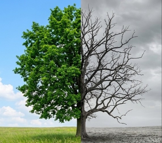 A Tale of Two Cities