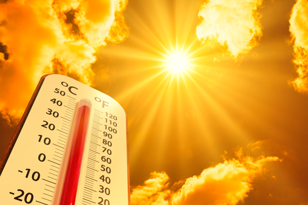 Earnings, Trillionaires, and Evapotranspiration