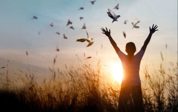 Building a Resilient Future: The Importance of Connection and Well-being