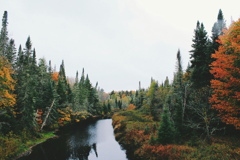 Fall Into Smarter Tax Planning With Tax-Loss Harvesting
