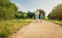 Don't Just Roll Over...Unless It's Your 401(k)