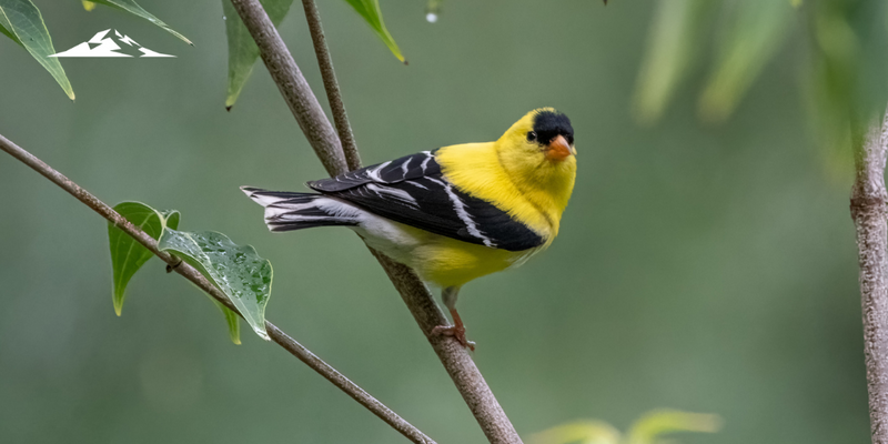 An Early Bird’s Guide to Year‑End Planning: 8 Steps to Review Before Q4