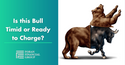 Is This Bull Timid or Ready to Charge?