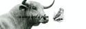 The Market, Stocks, and Bonds