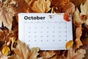 Monthly Economic Update: October 2022