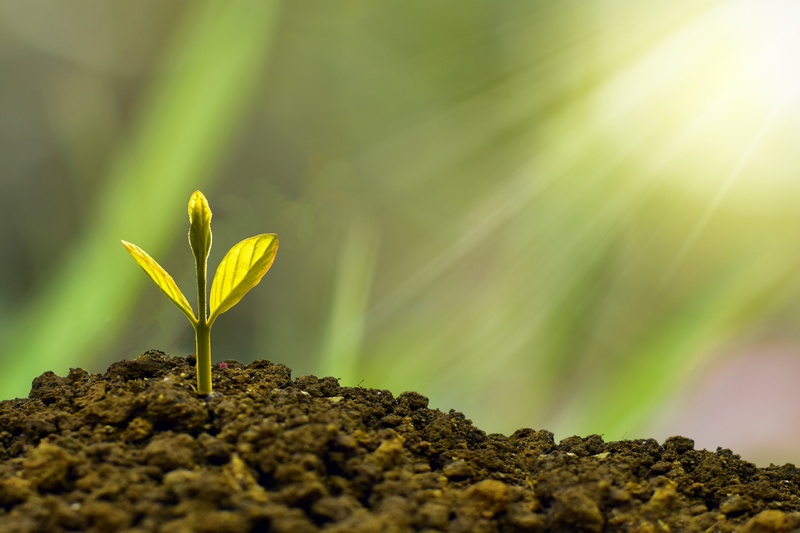 Refresh, Reorganize, and Reimagine Your Money