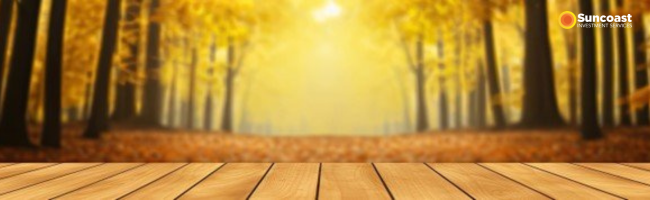 Spring Forward, Fall Back and Financial Planning