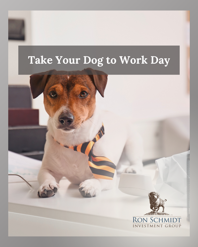 Canine Concerns:  Proper Insurance Coverage